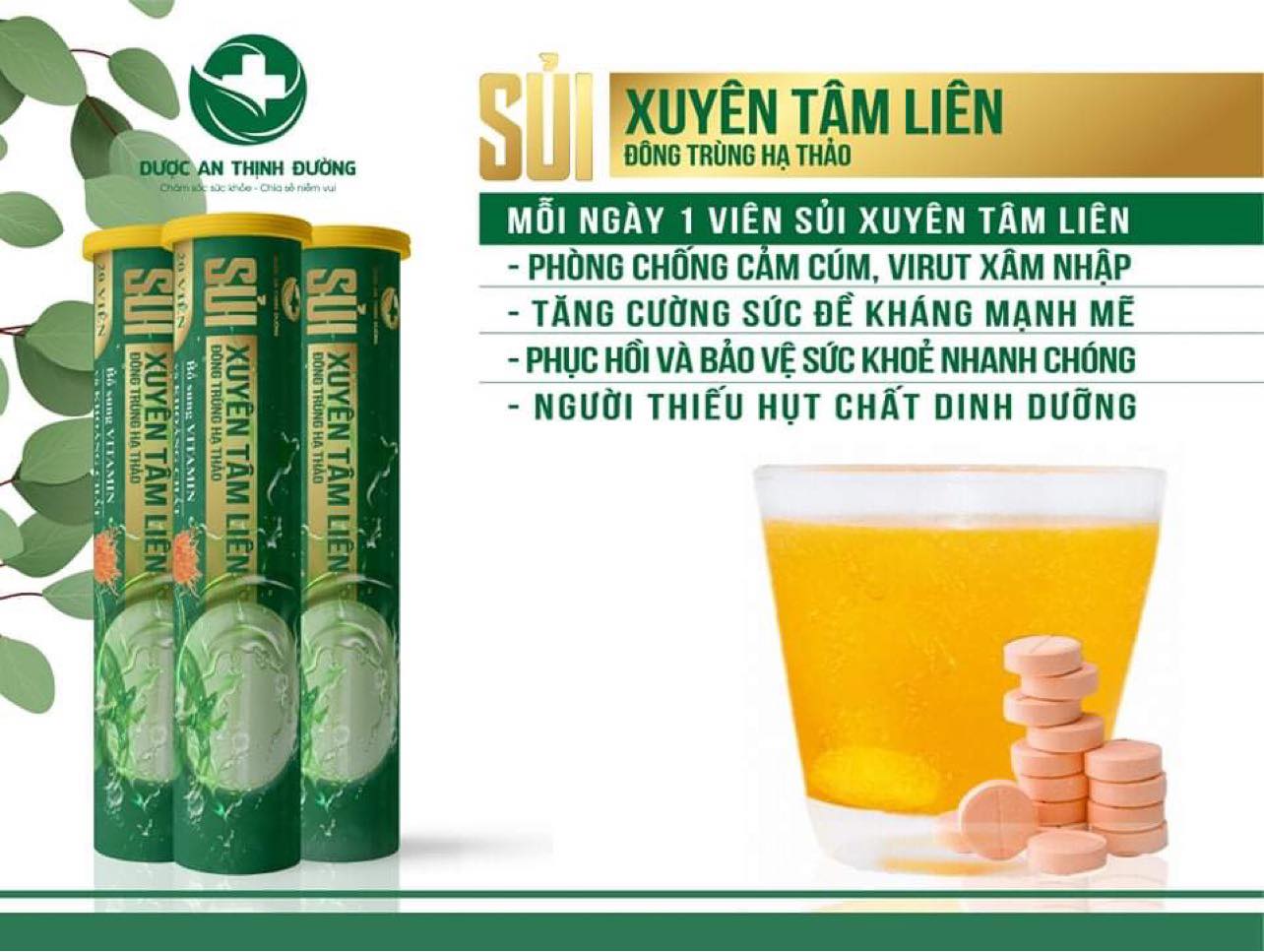 VIÊN SỦI XUYÊN TÂM LIÊN CỦA AN THỊNH ĐƯỜNG NGĂN NGỪA COVIT19