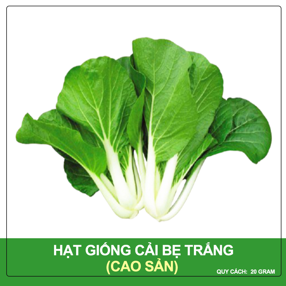 Hạt Giống Cải Bẹ Trắng Phú Nông Gói 20 Gram