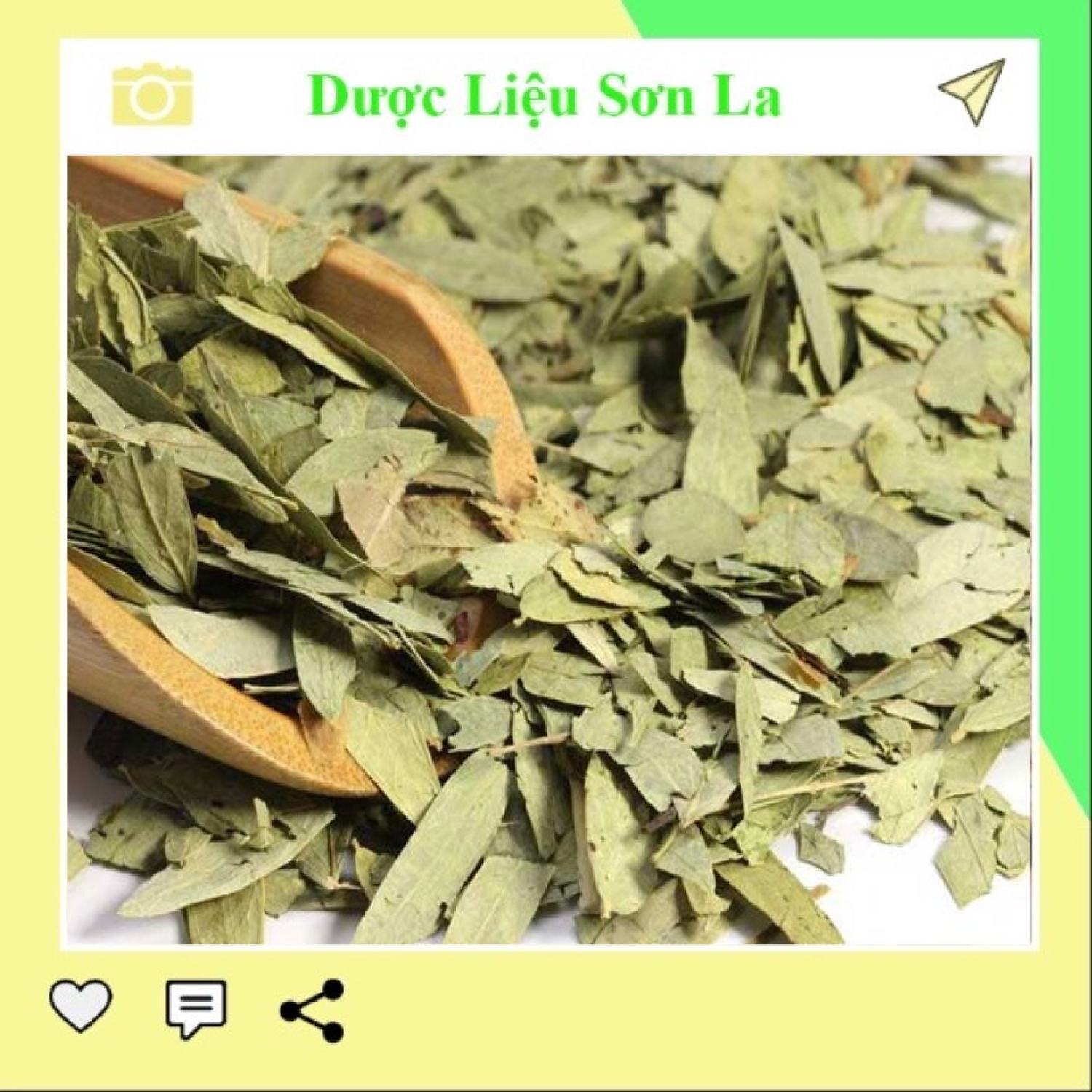 Lá phan tả diệp khô 1kg