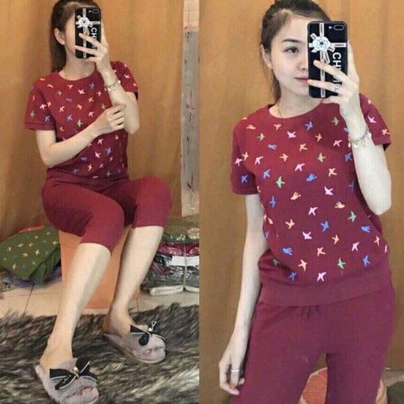 Bộ mặc nhà hình én chất cotton, free Size dưới 55kg,