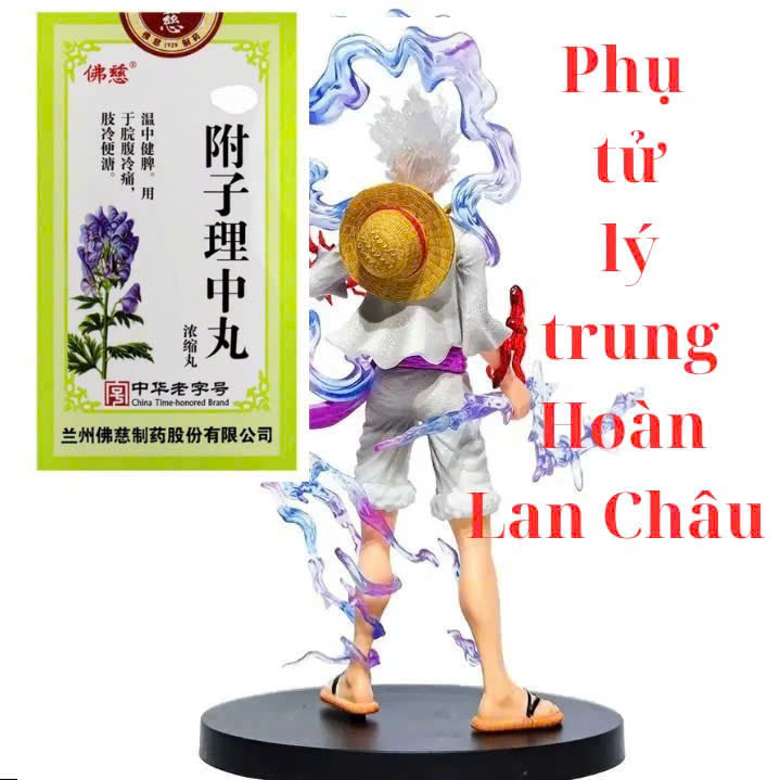 phụ tử lý trung lan châu