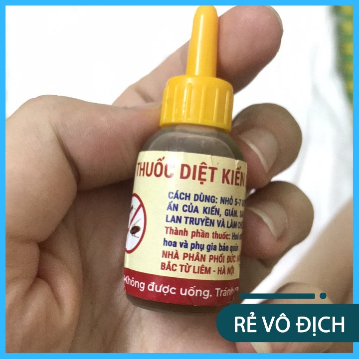 Thuốc diệt kiến, gián tận gốc, thành phần mật mía không gây hại sức khỏe con người