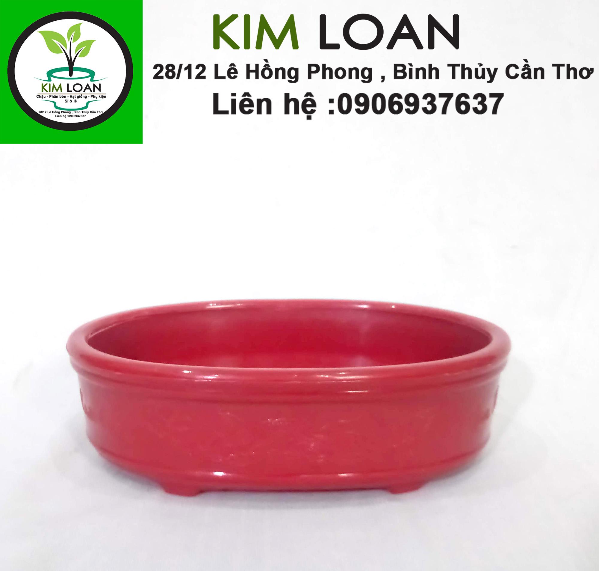 Chậu nhựa bonsai ovan mini 16x12x5cm