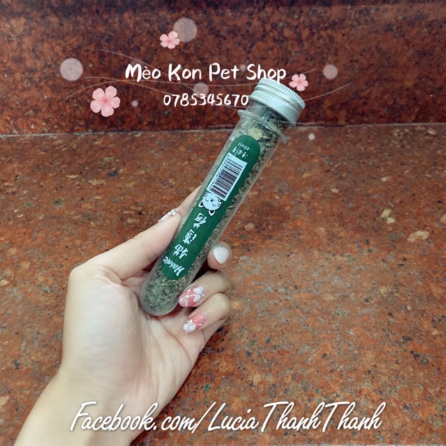 [HCM]Cỏ mèo bạc hà Catnip Cat Mint 40 ml