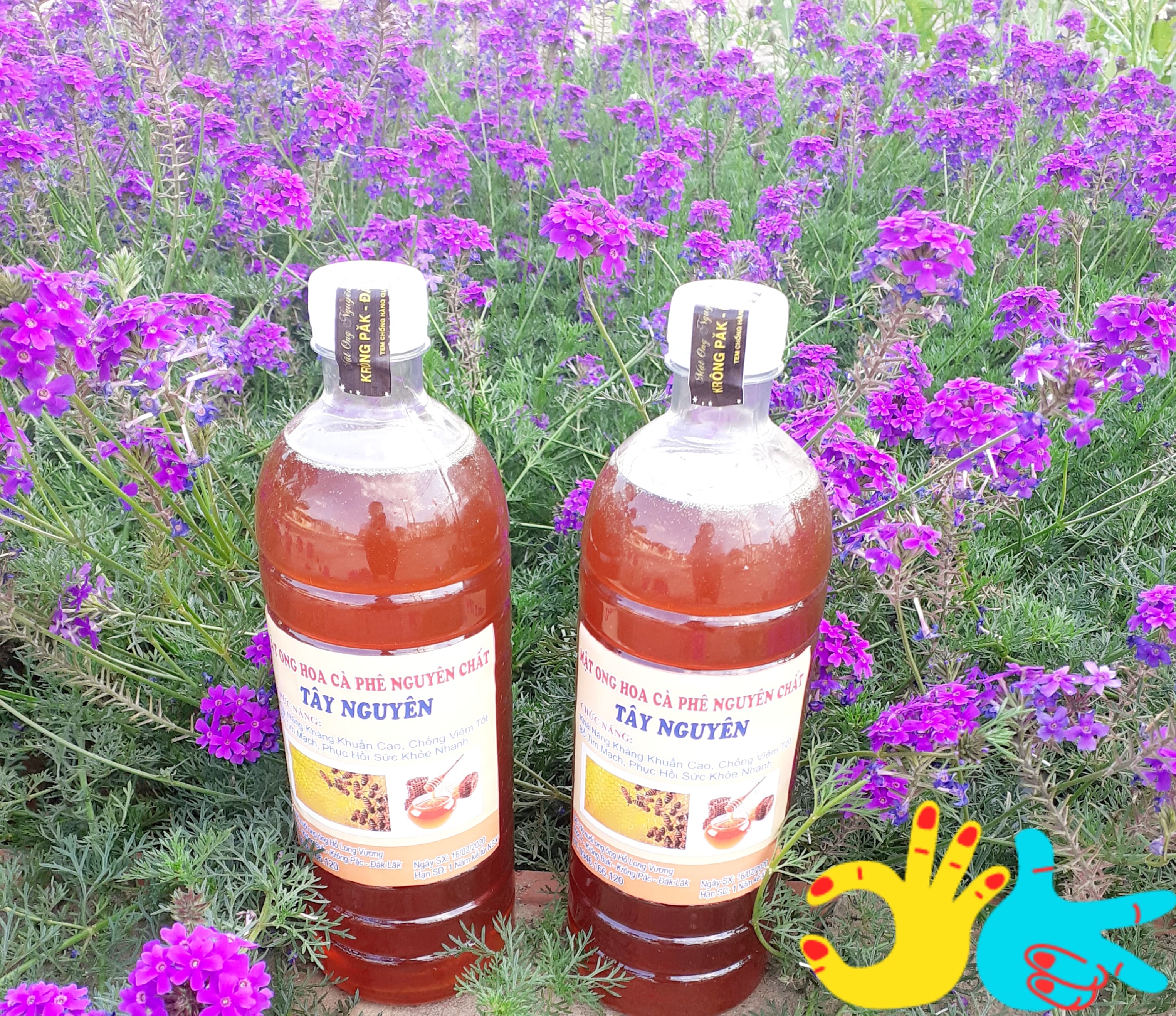 1 Lít Mật Ong Hoa Cà Phê Nguyên Chất Tây Nguyên- Chai nhựa