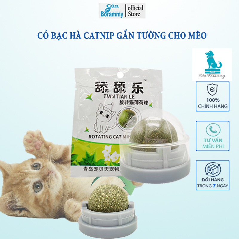 Viên Cỏ Bạc Hà Gắn Tường-Bóng Catnip gắn tường cho mèo liếm