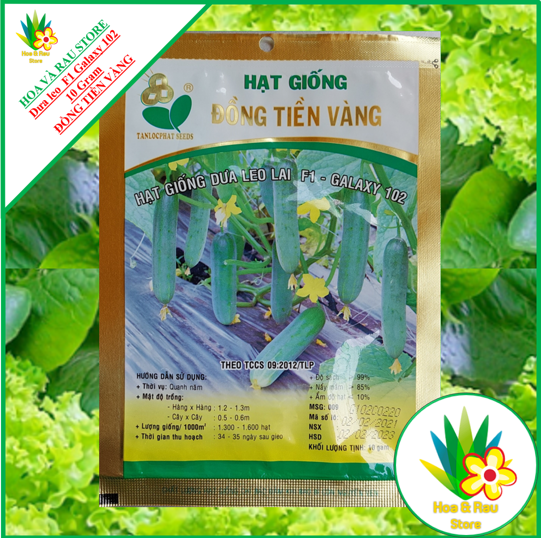 Hạt giống dưa leo lai f1 - galaxy 102 - đồng tiền vàng - gói 10gr