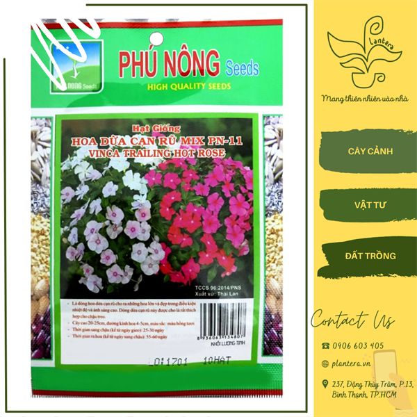 Hg pn - hoa dừa cạn rũ mix pn-11 gói 10 hạt - hạt giống - hoa