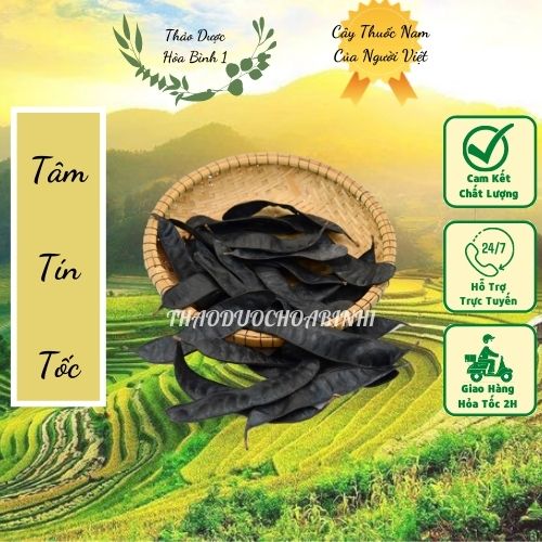 100gr trái bồ kết khô gội đầu mượt tóc vintage.