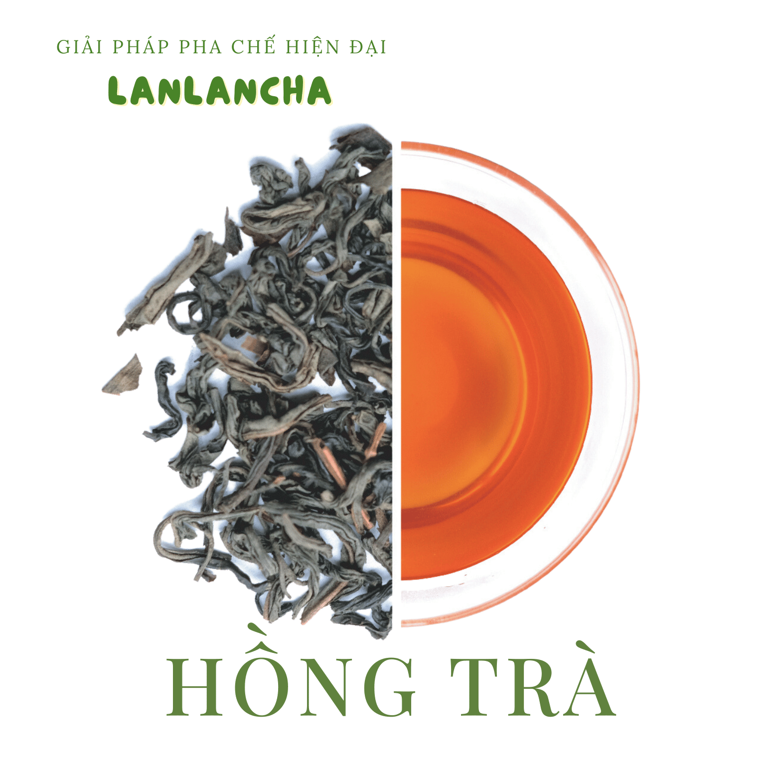 Trà đen hồng trà Đài Loan nguyên lá LANLANCHA LC01 vị trà sữa nguyên lá của Cheese Coffee