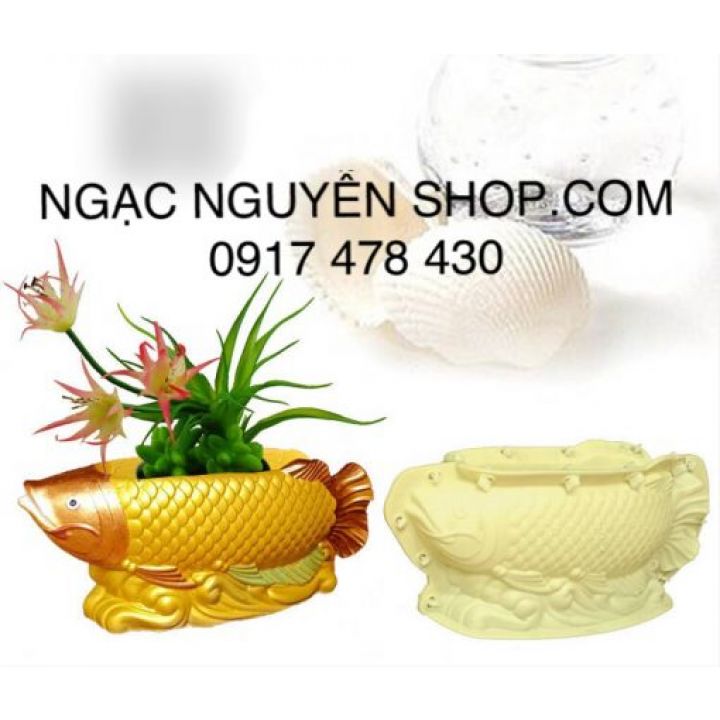 Khuôn đổ chậu cá rồng dài 50cm ngang 20cm cao 25cm