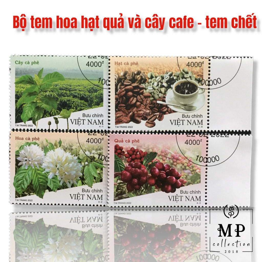 Bộ tem hoa hạt quả và cây cà phê 4 tem.