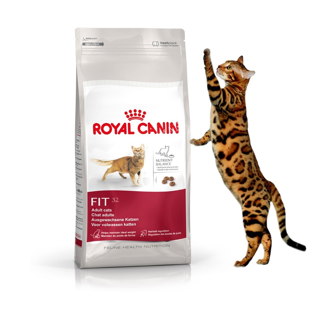 Thức Ăn Cho Mèo Royal Canin Fit 32 15 Kg