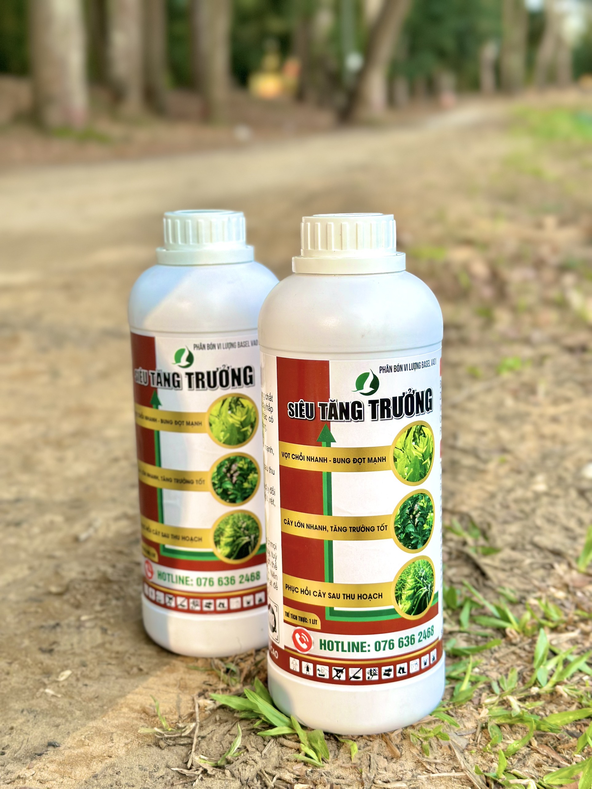 Siêu tăng trưởng - giúp cây tăng trưởng nhanh, vọt đọt khỏe