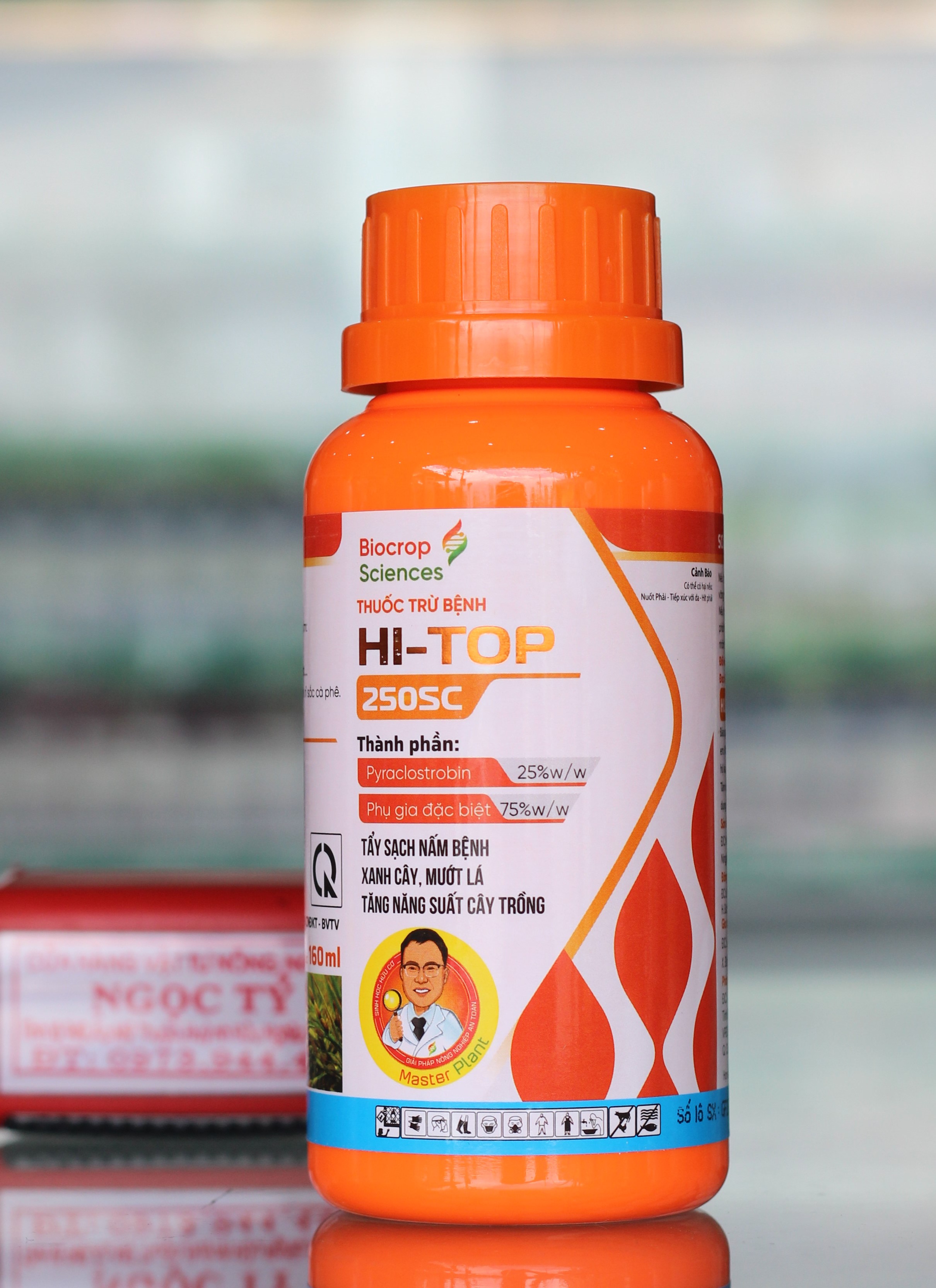 Thuốc hi-top 250sc của biocrop scencies phòng ngừa đạo ôn lem lép hạt sáng hạt xanh lá