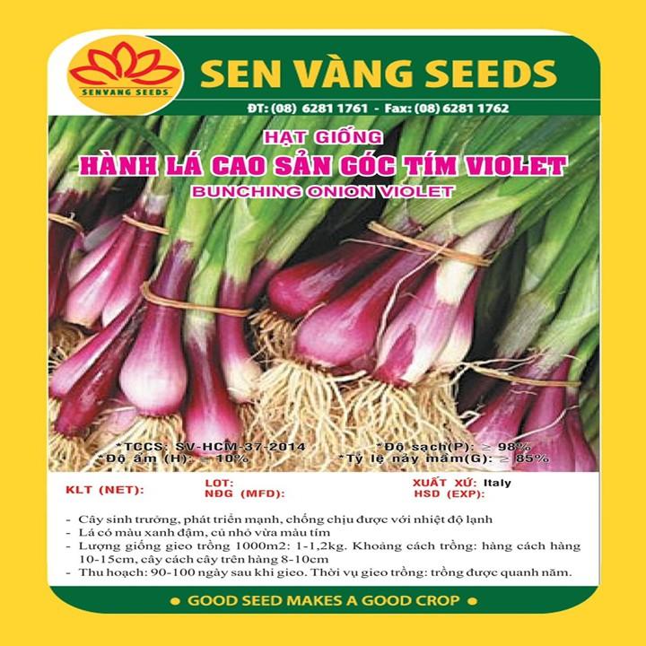 Hạt Giống Hành Lá Cao Sản Gốc Tím Violet - 1Gr