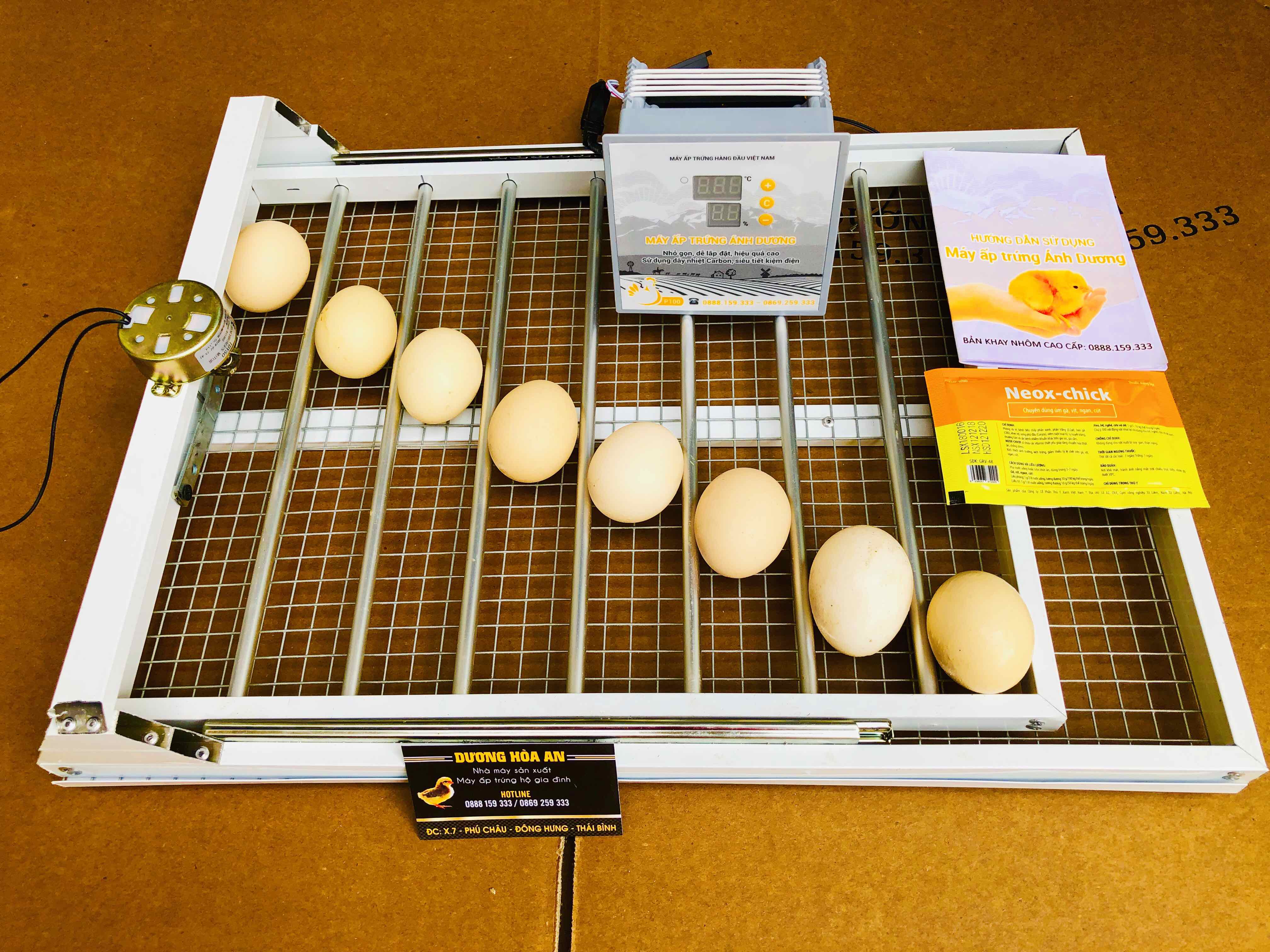 Máy Ấp Trứng 56 trứng gà - ngan - vịt khay nhôm đảo tự động