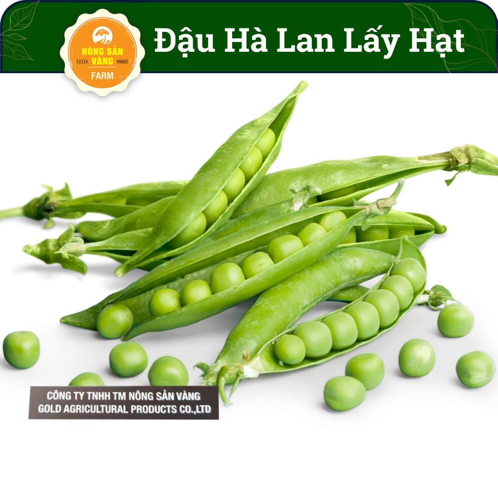 Hạt giống đậu hòa lan ăn hạt rất nhiều dinh dưỡng và vitamin, chế biến thành rất nhiều món ăn - nông sản vàng