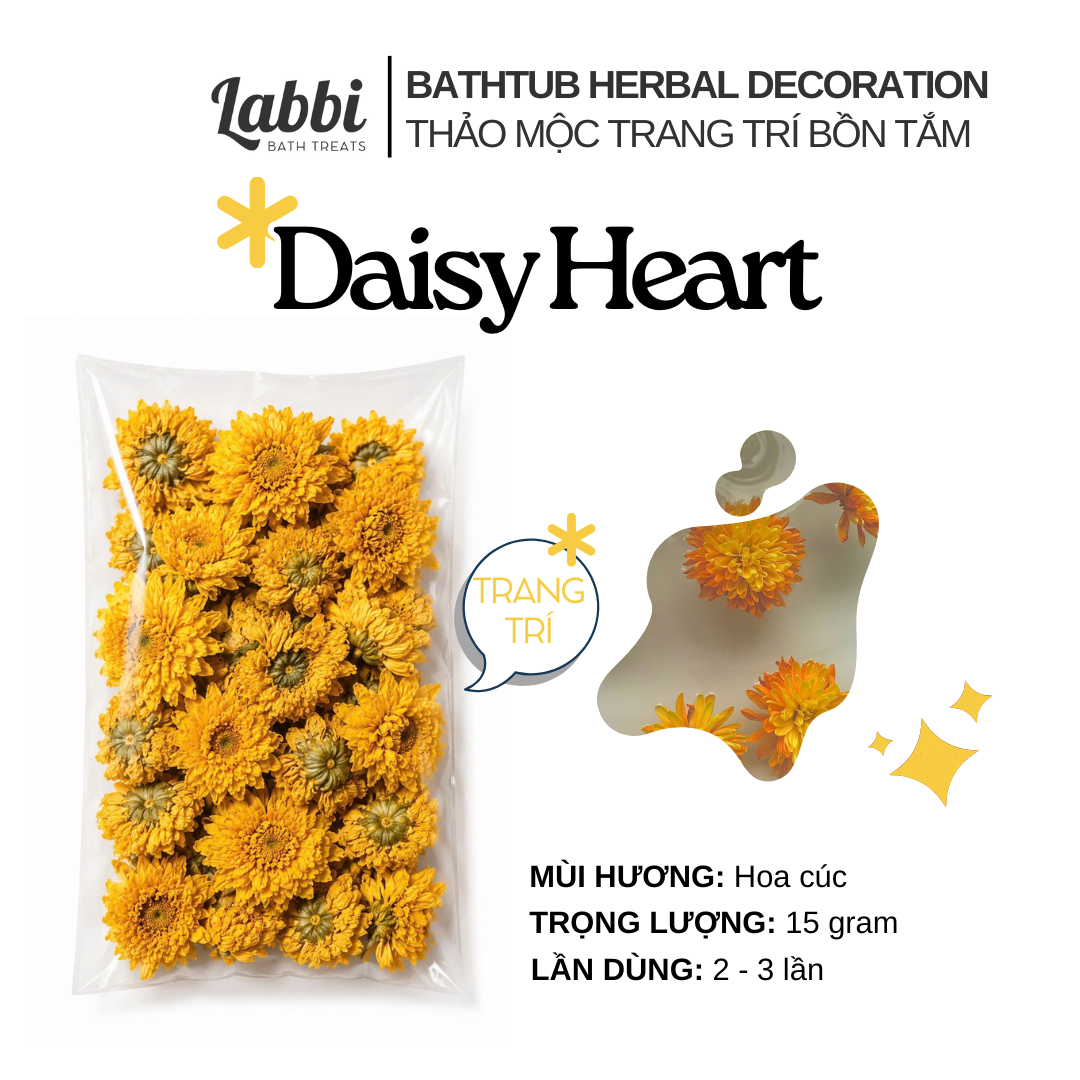 DAISY HEART [Labbi] Hoa cúc sấy lạnh / Hoa cúc khô / Trang trí bồn tắm