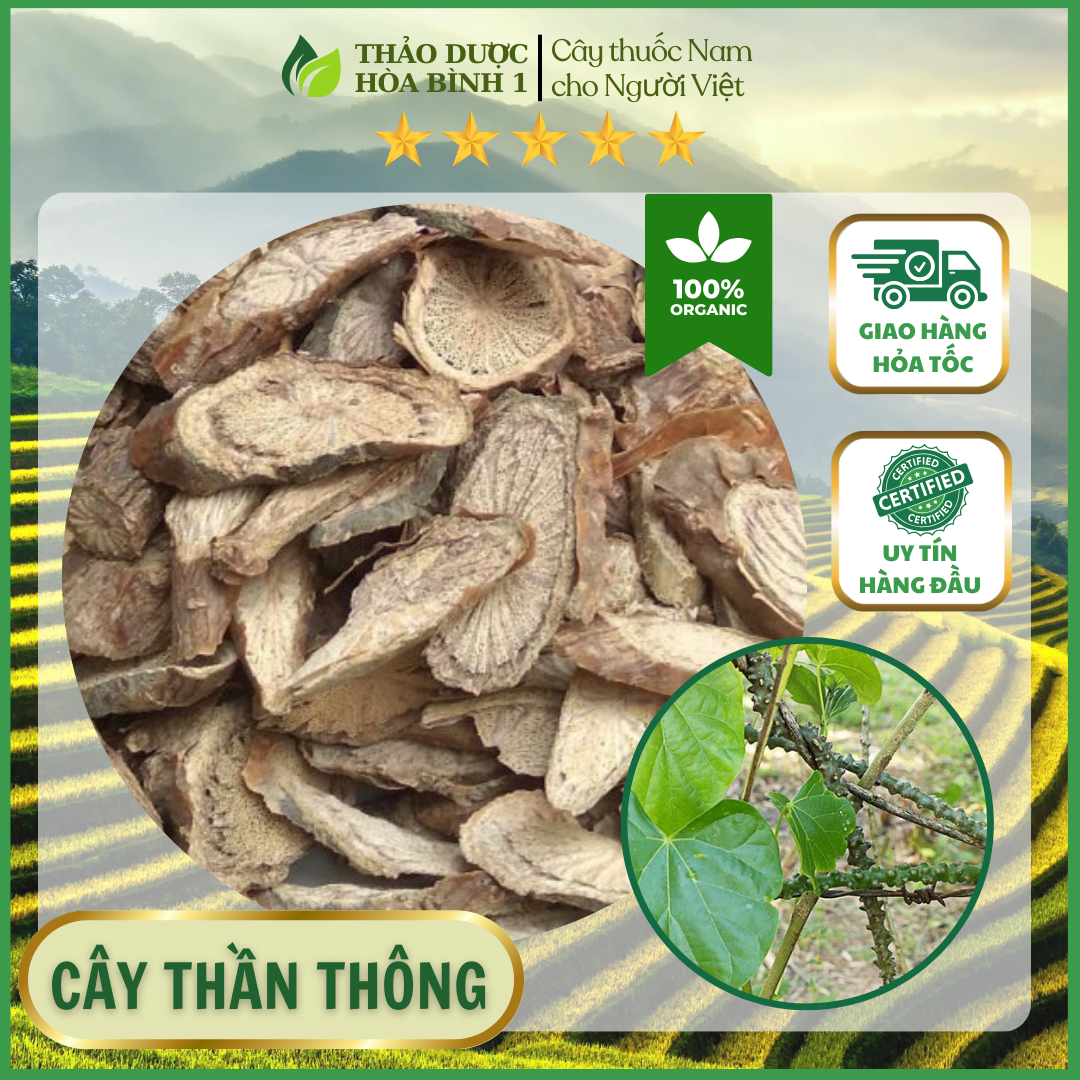 Cây thần thông khô 500gr
