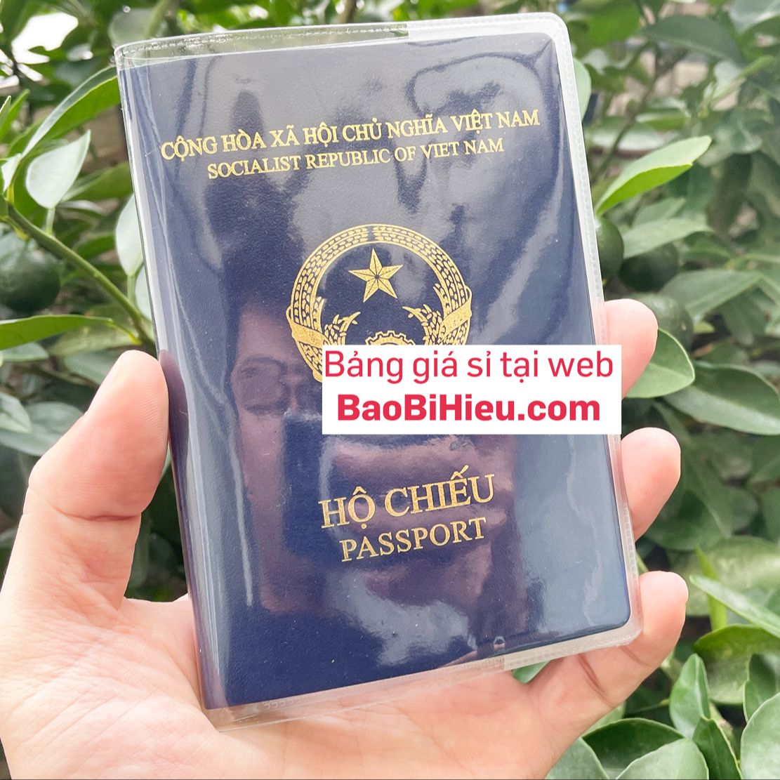 Vỏ bao hộ chiếu (passport) nhựa dẻo có khe đựng vé máy bay và các thứ linh tinh B132