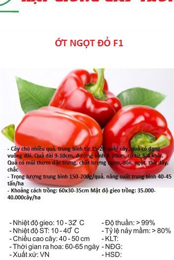 Hạt giống ớt chuông ngọt f1 đỏ kns - gói 10 hạt