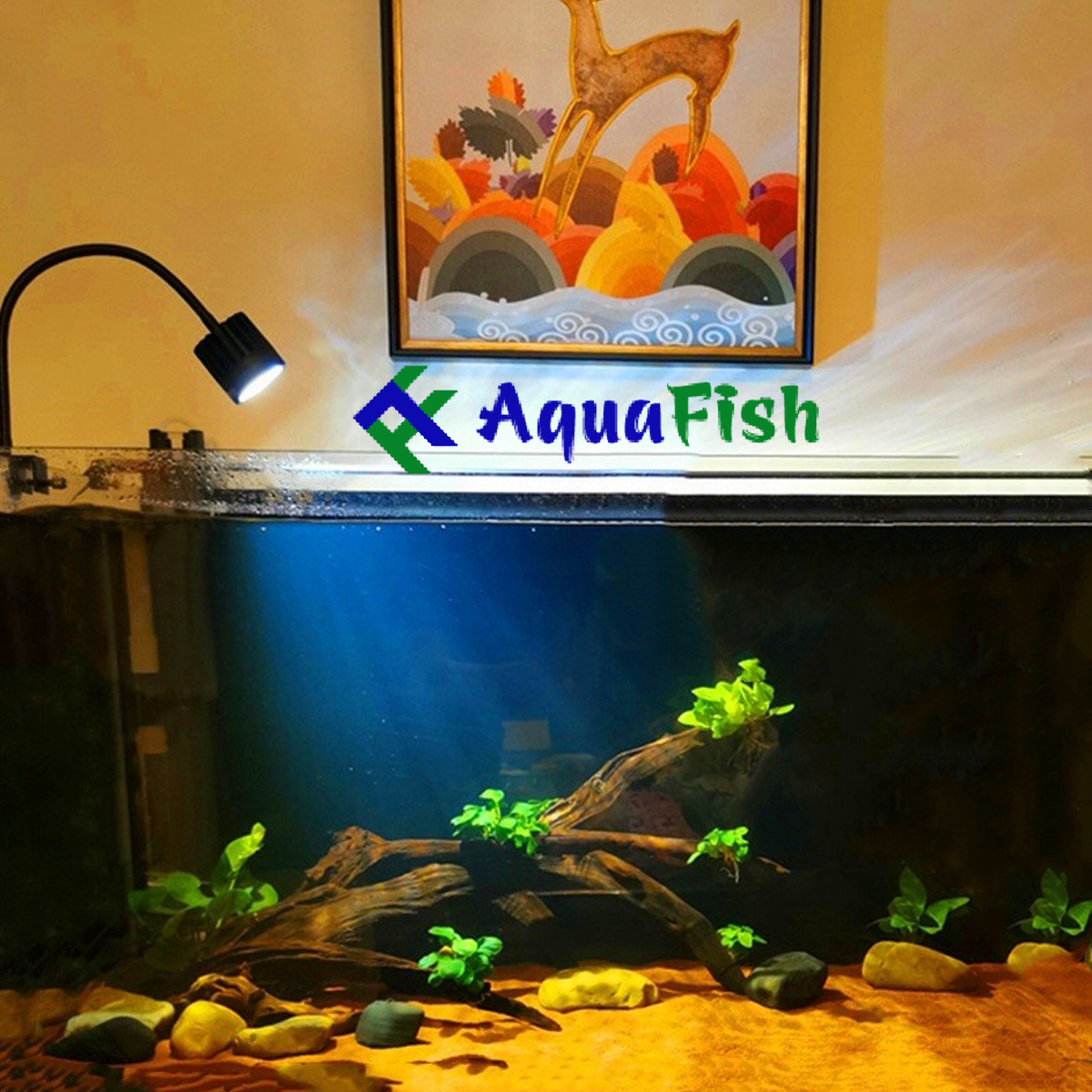 Đèn Led kẹp thành bể cá trong nhà CoCo Spotlight SD-300 5W với 3 chế độ màu sắc