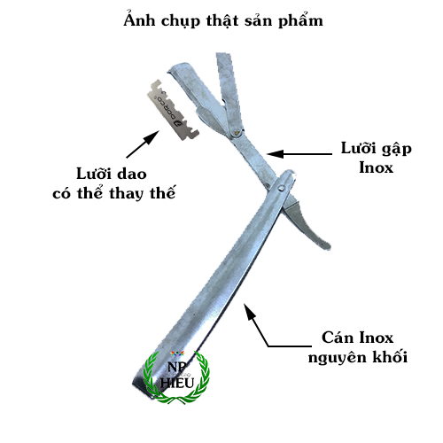 Dao cạo mặt Inox