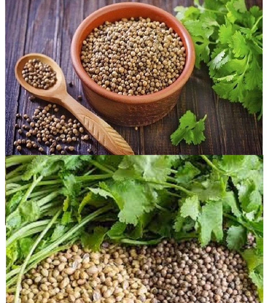 Hạt Mùi -  (Hạt Rau Mùi)  1kg - có tặng quà