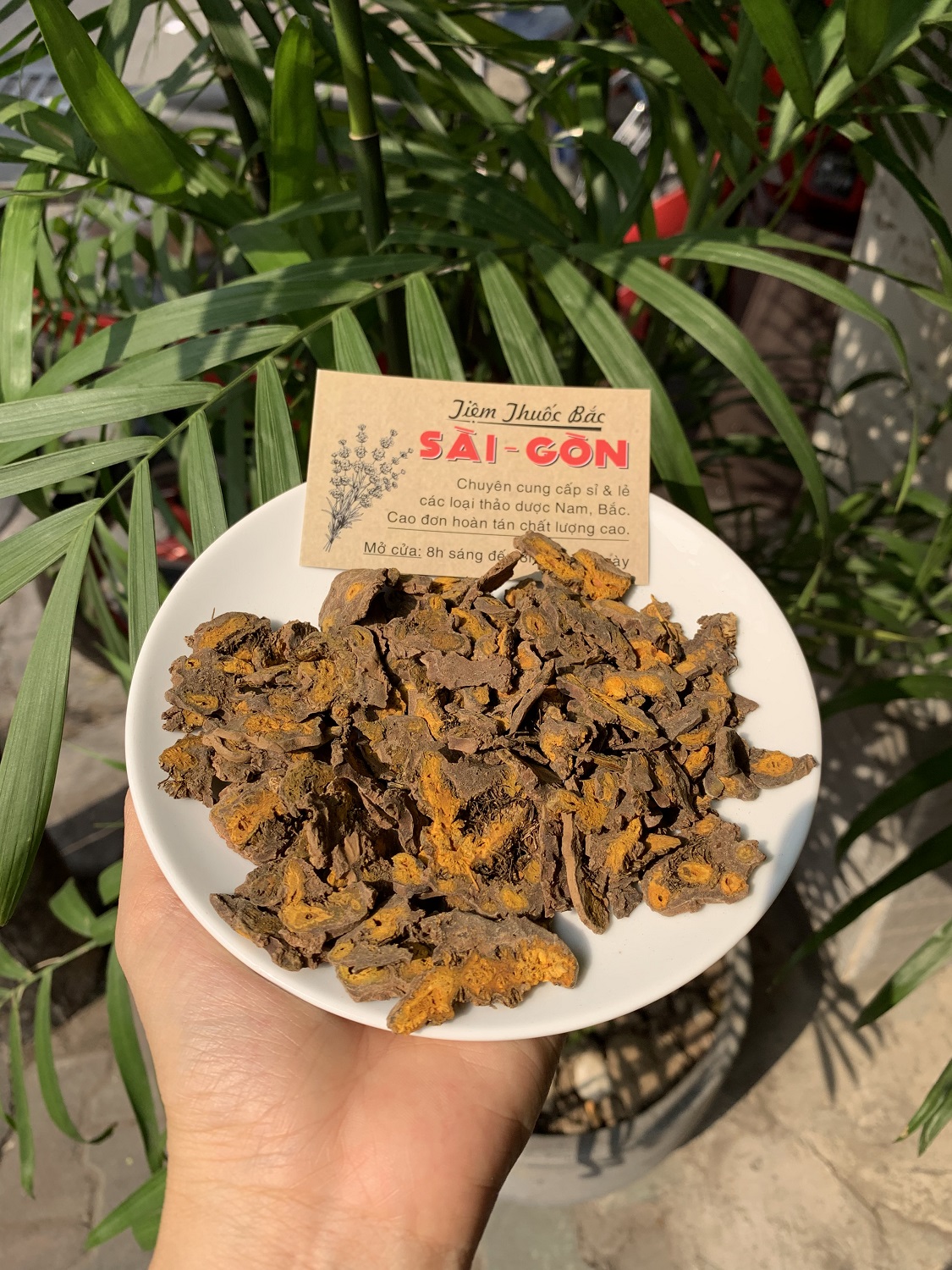 [HCM]CỦ HOÀNG LIÊN 100gram Tiệm Thuốc Bắc Sài Gòn