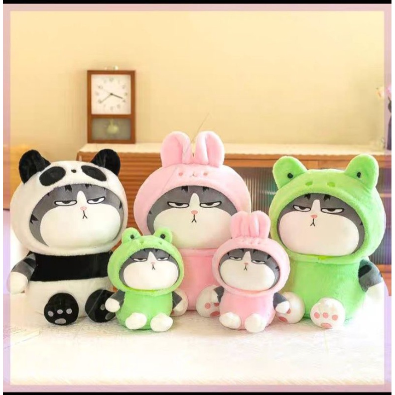 Gấu bông mèo hoàng thượng cosplay ếch, gấu bông mèo ếch, mèo thỏ