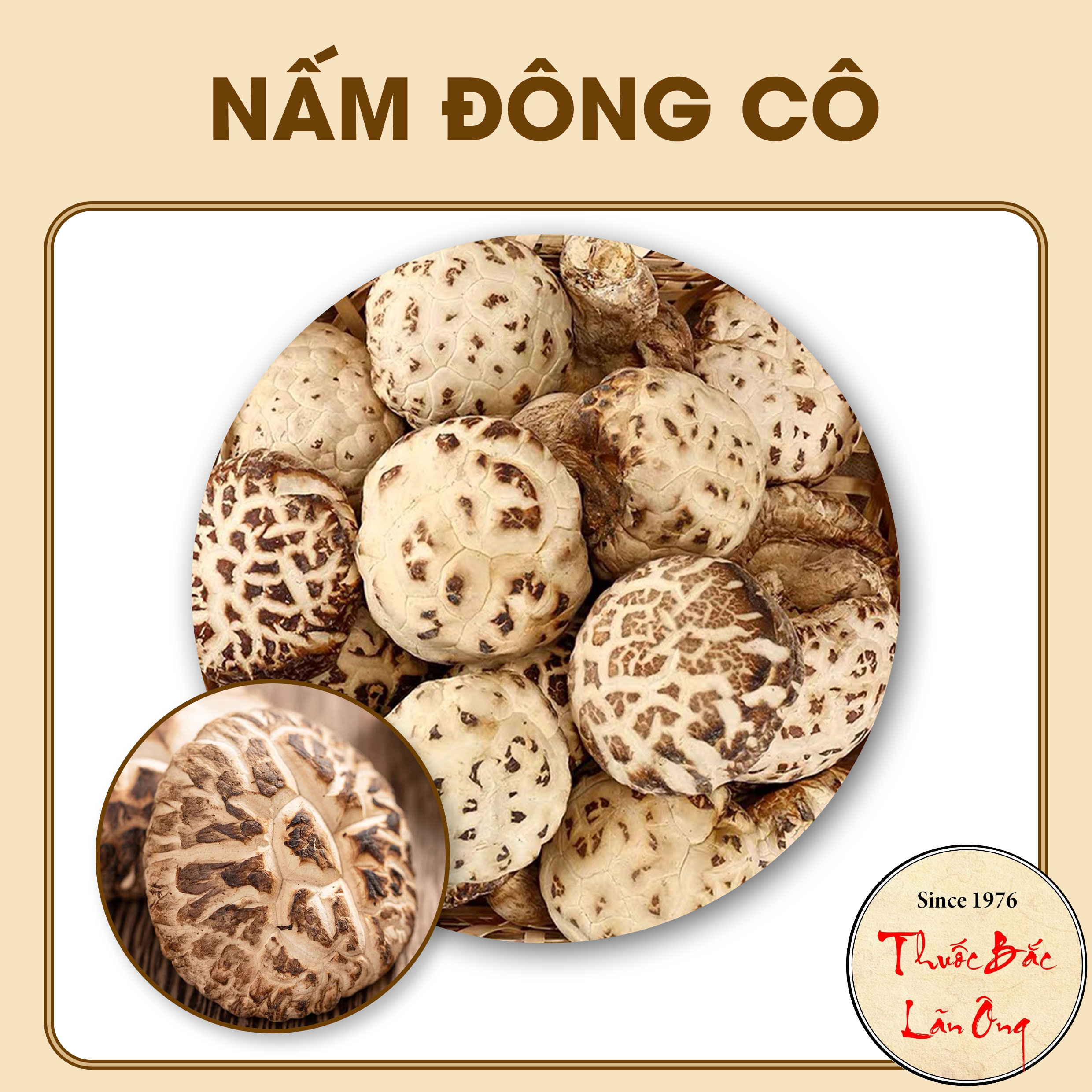 500g nấm đông cô nhật bản loại nhỏ - lãn ông