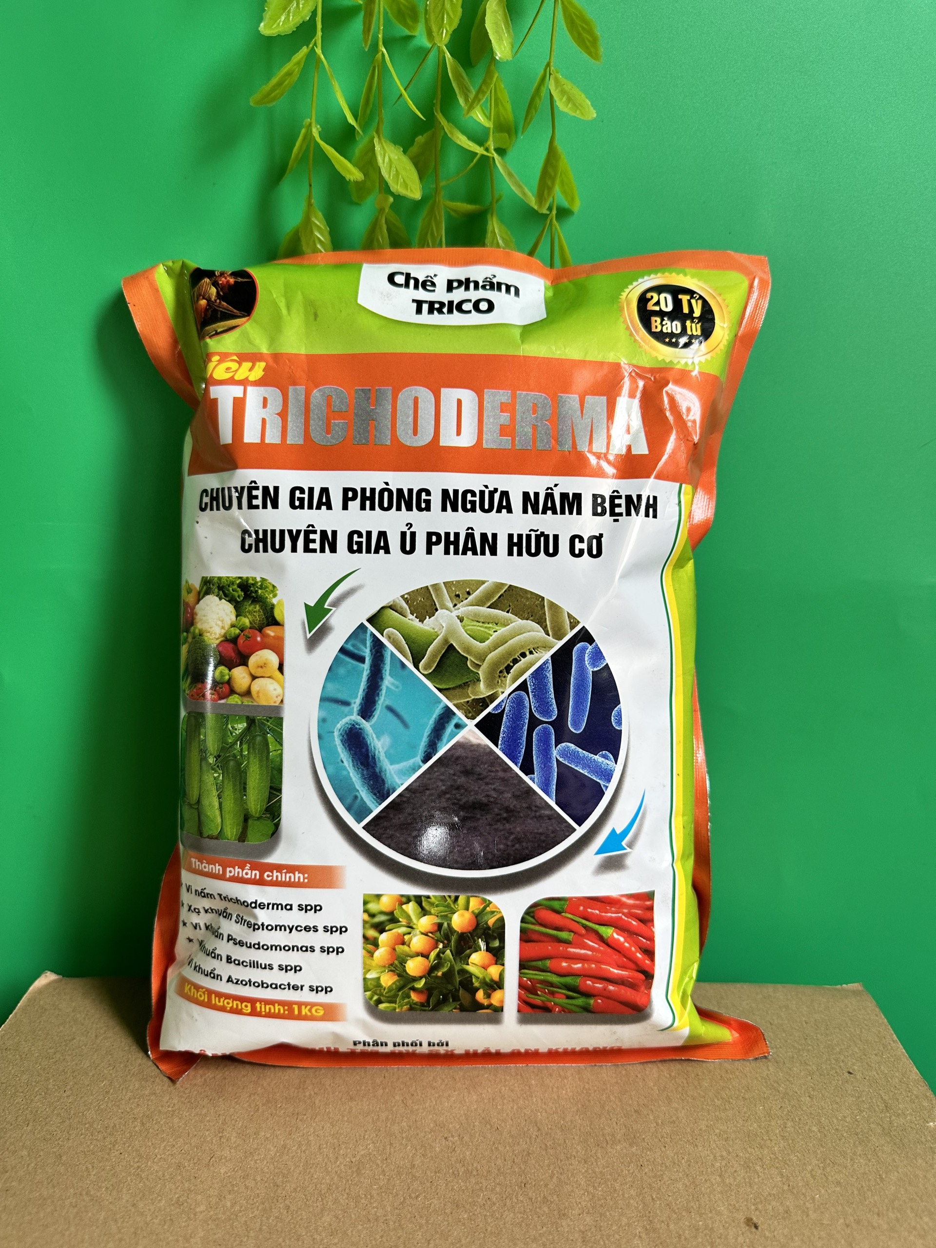 Nấm Trichoderma Bacillus, nấm đối kháng Tricoderma dùng ủ phân bón, rác thải nhà bếp