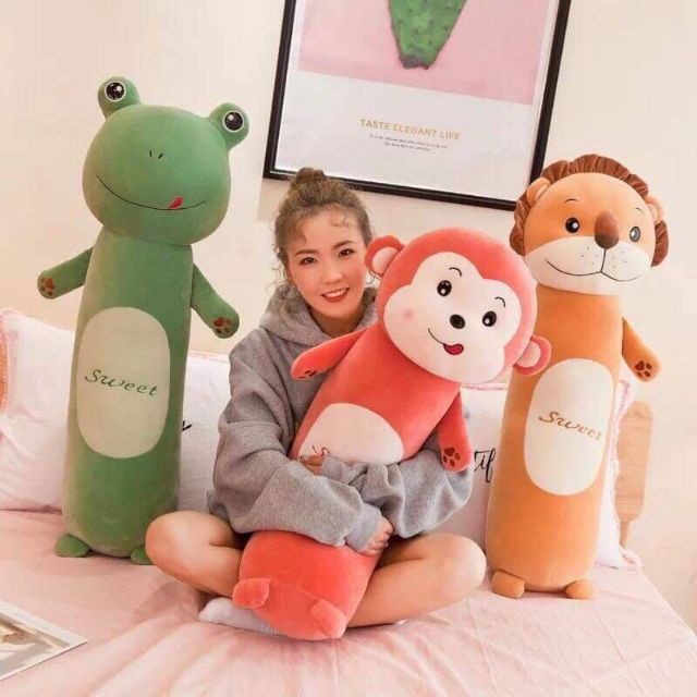 Gối ôm thỏ tai dài, Gối ôm sư tử, Gối ôm thú dài, Gối ôm ếch xanh, Gấu bông thỏ ếch khỉ
