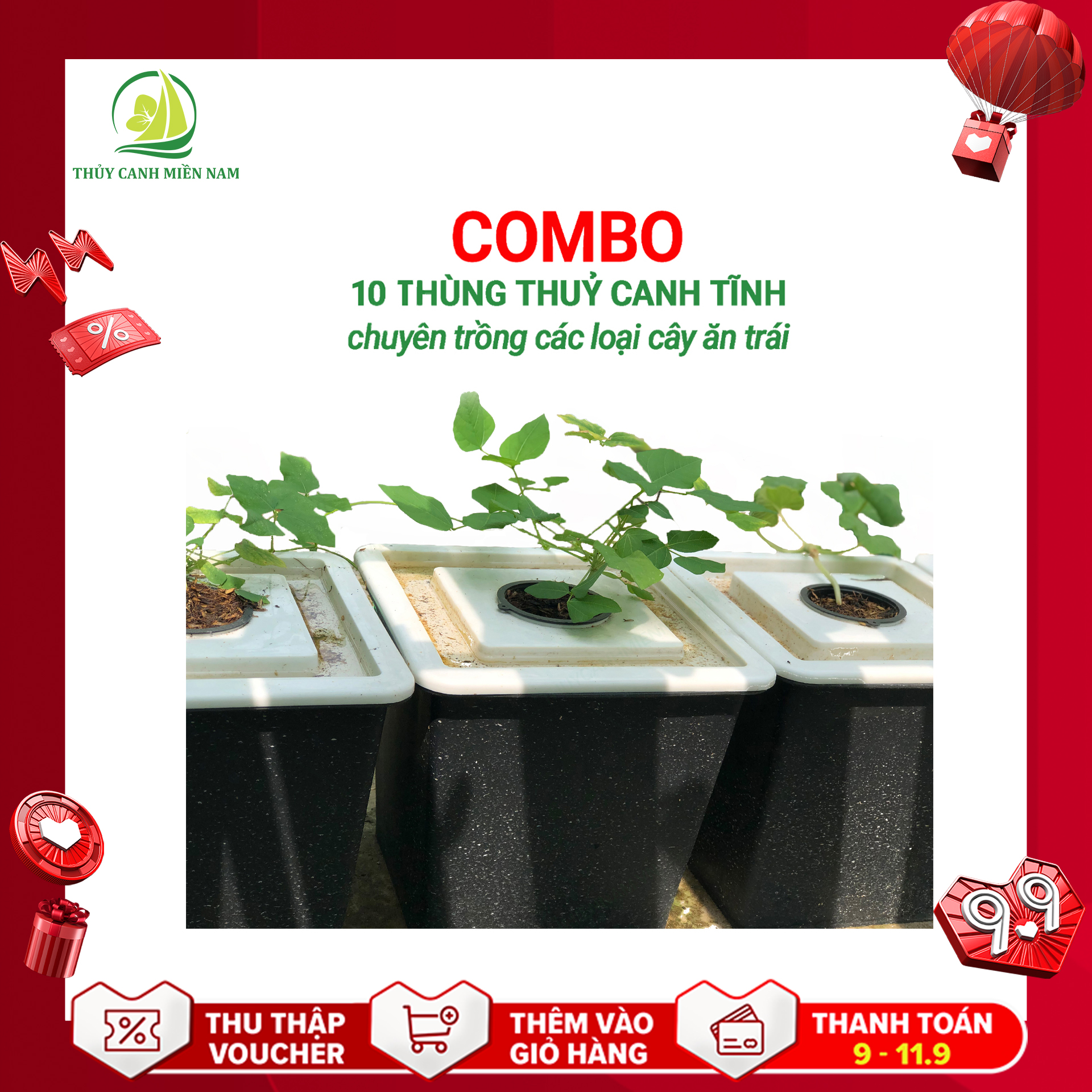 Set 10 thùng thủy canh tĩnh ăn trái | trồng dưa lưới, dưa leo, cà chua tại nhà đều tốt