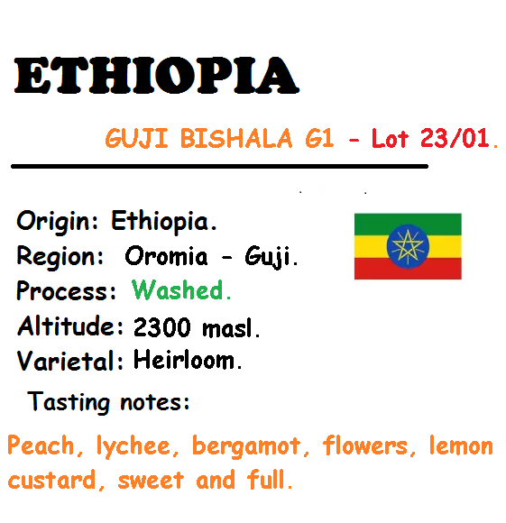 SPECIAL COFFEE - HẠT - 2 TÚI 250 GRAM- ETHIOPIA GUJI BISHALA WASHED G1