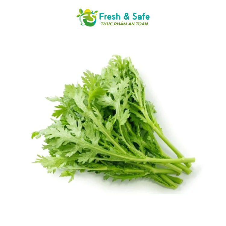 [HOẢ TỐC HCM] Xà lách Rocket - 100g