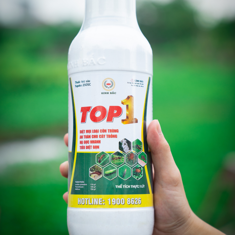 Thuốc Diệt Côn Trùng TOP 1 Chính hãng Kinh Bắc công nghệ Đức, Trừ Sâu Bọ, Rầy Rệp, Sâu Ăn Lá, Ấu Trùng Trên Lá Và Dưới Đất, Công Nghệ Lưu Dẫn Hai Chiều, Chai Phun 1 Hecta, Chai 1000ml