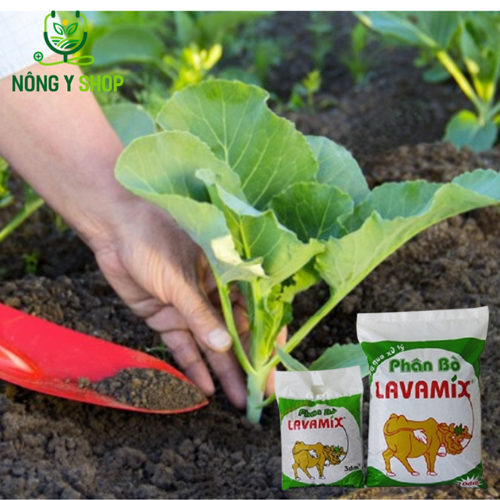 Phân bò hữu cơ lavamix - phân bón đã qua xử lý tiện lợi, không mùi hôi túi 3 dm3 - 10dm3 nguyên chất, bổ sung dinh dưỡng, cải tạo đất