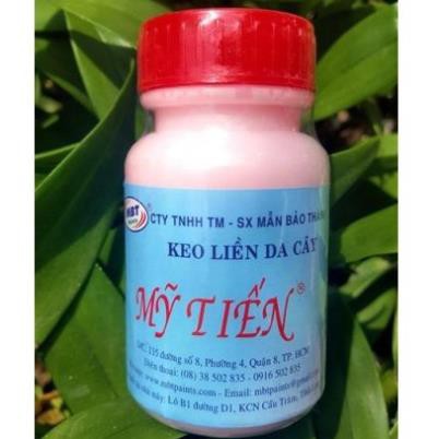 Keo mỹ tiến - keo liền da cây