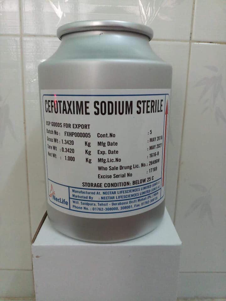Kháng sinh cefotaxime nguyên liệu dùng cho tôm cá và các loài thuỷ sản