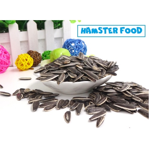 Hạt hướng dương 100g - thức ăn cho chuột hamster