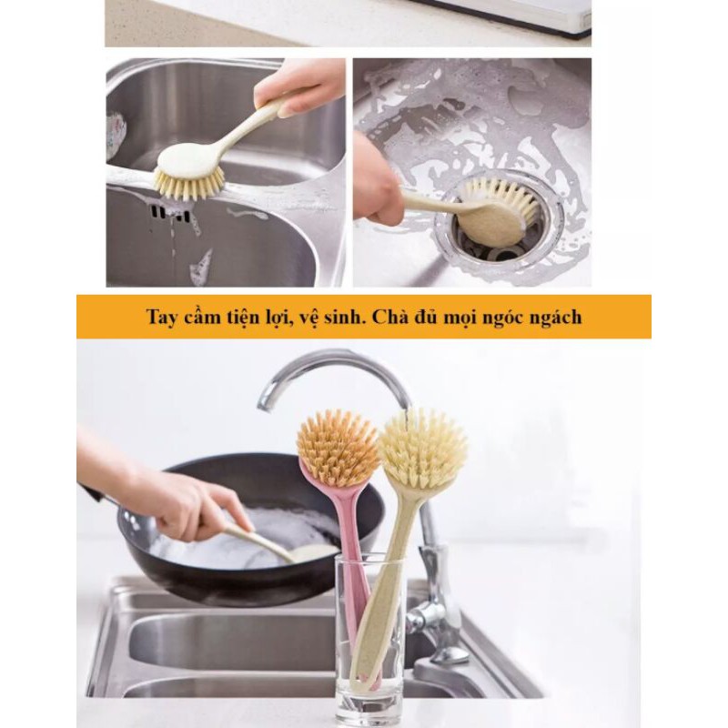 Cây bàn chải nhỏ tiện dụng cọ rửa lúa mạch