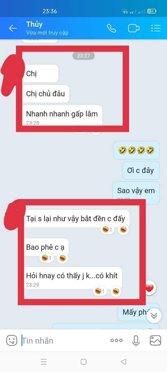 Viên Đặt Se Khít Thảo Mộc Briar (Nhập Khẩu Thái Lan)