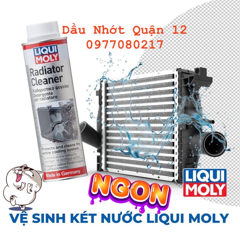 Phụ Gia Súc Két Nước Liqui Moly Radiator Cleaner 1804 - Made in Germany