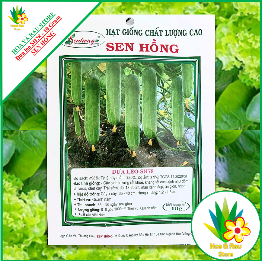 Hạt giống dưa leo f1 sh78 - gói 10g - sen hồng - hoa và rau store - dưa leo - dưa chuột