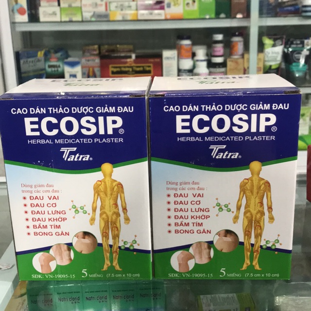 ECOSHIP - Cao dán thảo dược Ecosip Cool Tatra hỗ trợ giảm đau cơ, đau khớp