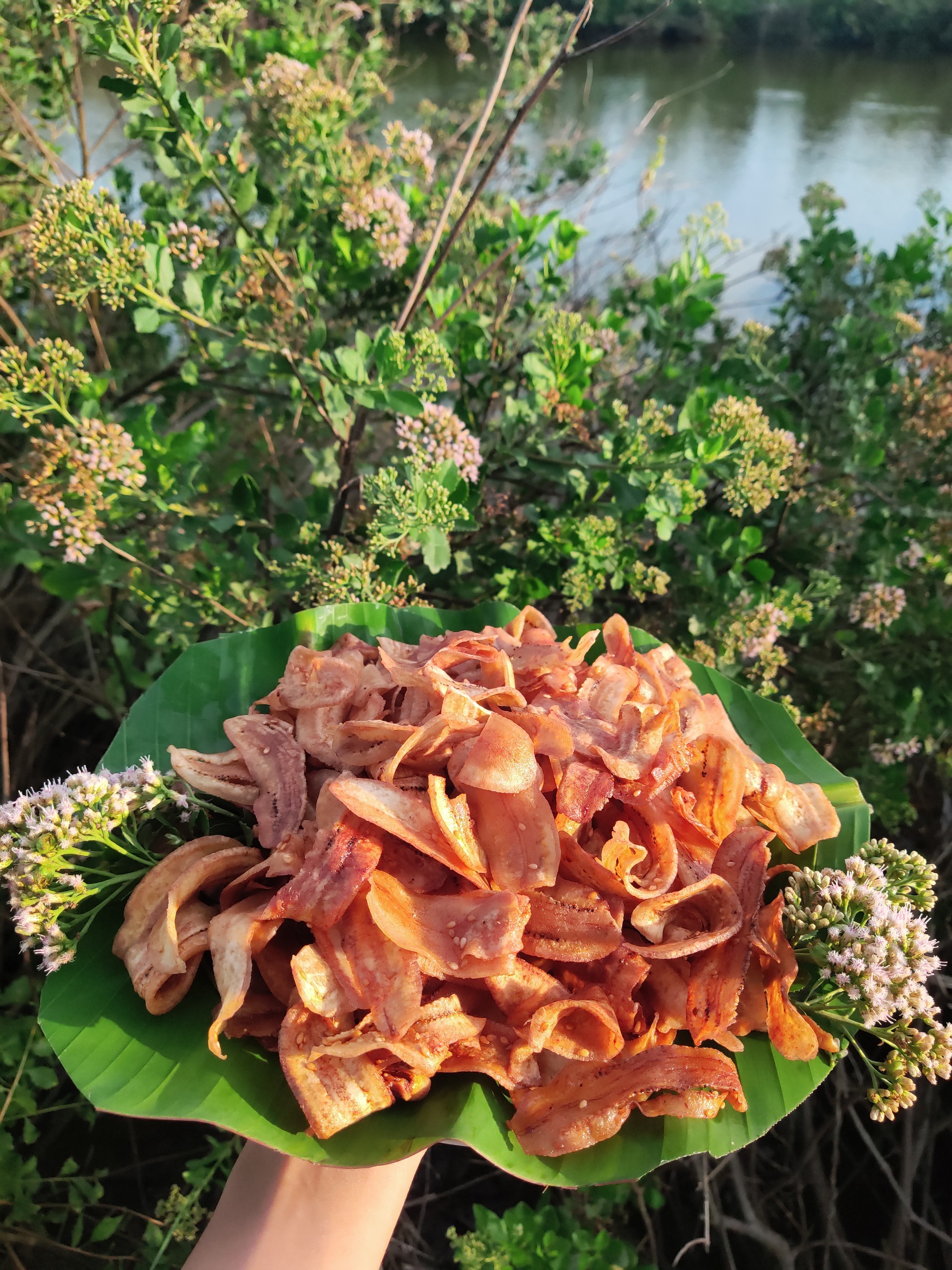 Chuối sấy mè gừng ít ngọt, giòn tan 500G