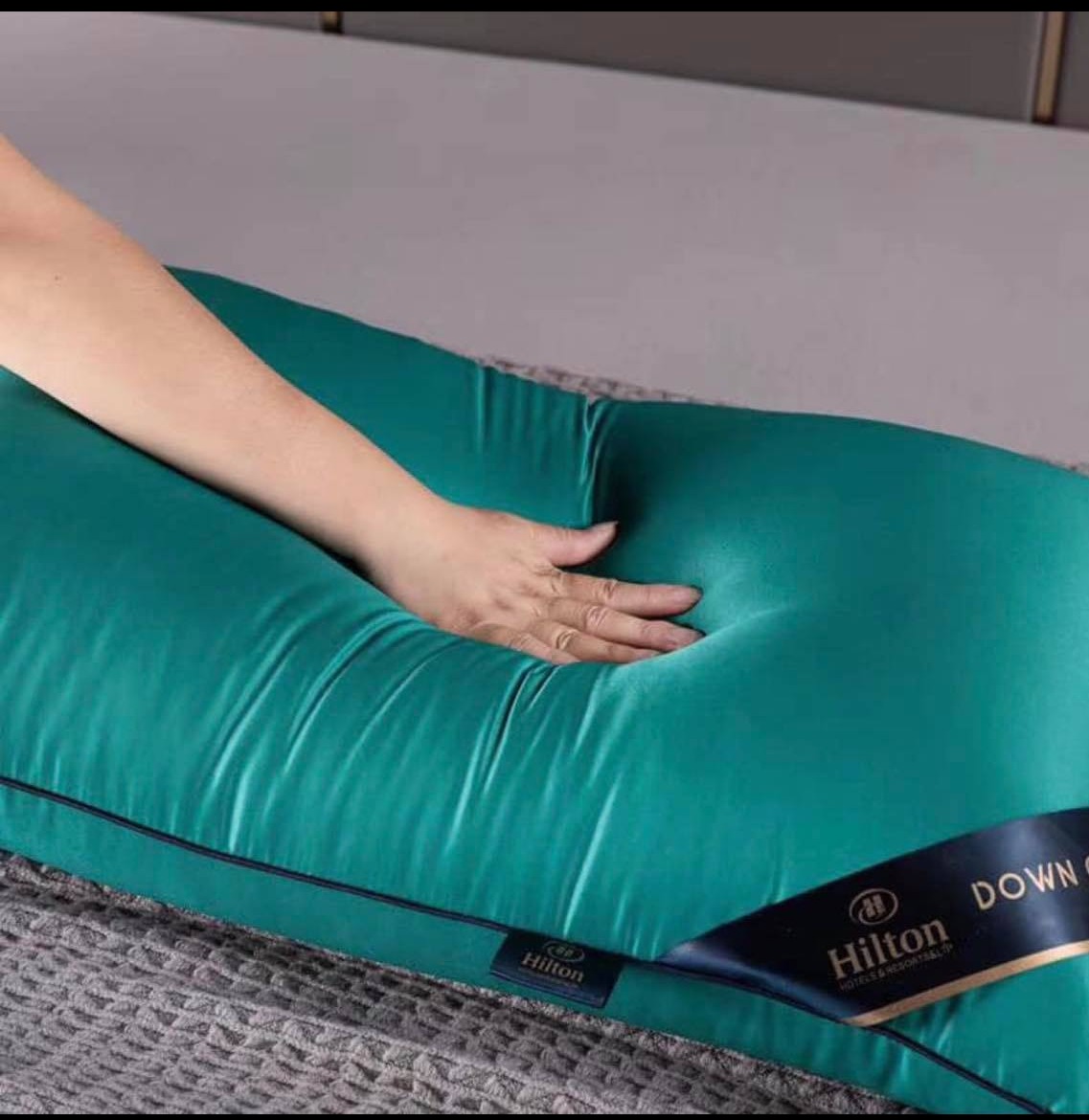 Bộ 2 chiếc Ruột gối Hilton cao cấp hàng đẹp loại 1,3kg kích thước 50x70cm