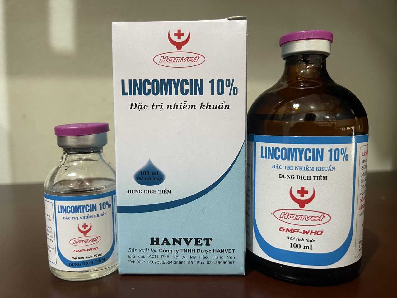 LINCOMYCIN 10% Hanvet Suyễn - Hen, CRD, CCRD, viêm phổi, tụ huyết trùng, đóng dấu, bại huyết trên vật nuôi. LINCO 10% chữa viêm da, mụn nhọt, áp xe, viêm có mủ, viêm vú, lỵ, sảy thai truyền nhiễm